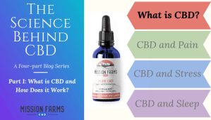 Read more about the article The Science Behind CBD: What is CBD and How Does it Work?