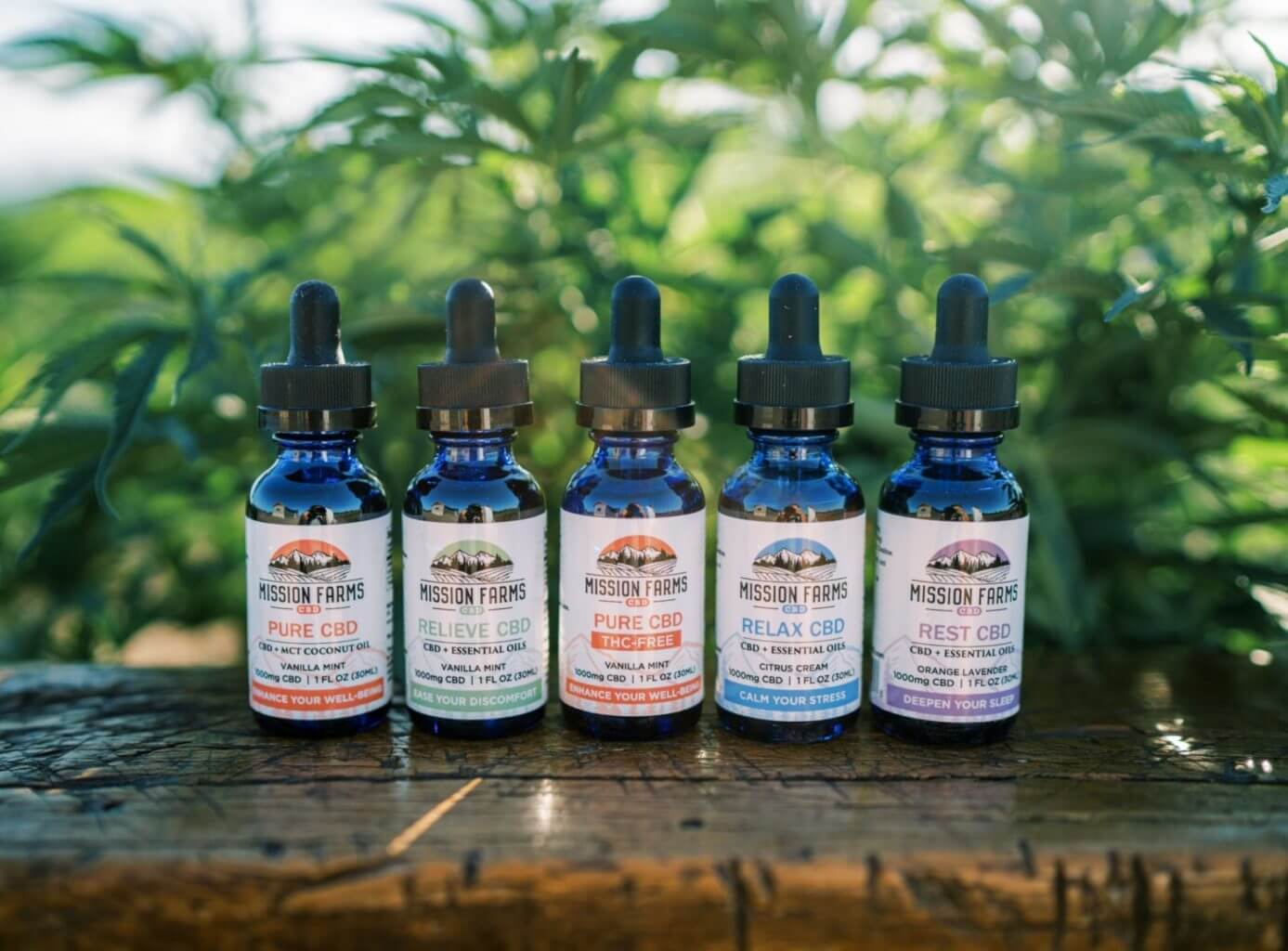 Read more about the article Can CBD help Asthma?