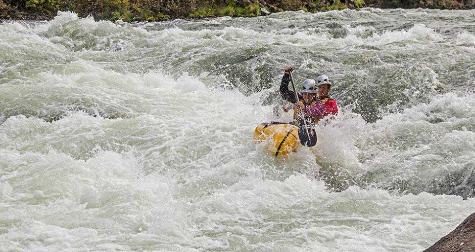 Read more about the article CBD for Racing and Recovery