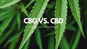 Read more about the article CBG vs CBD