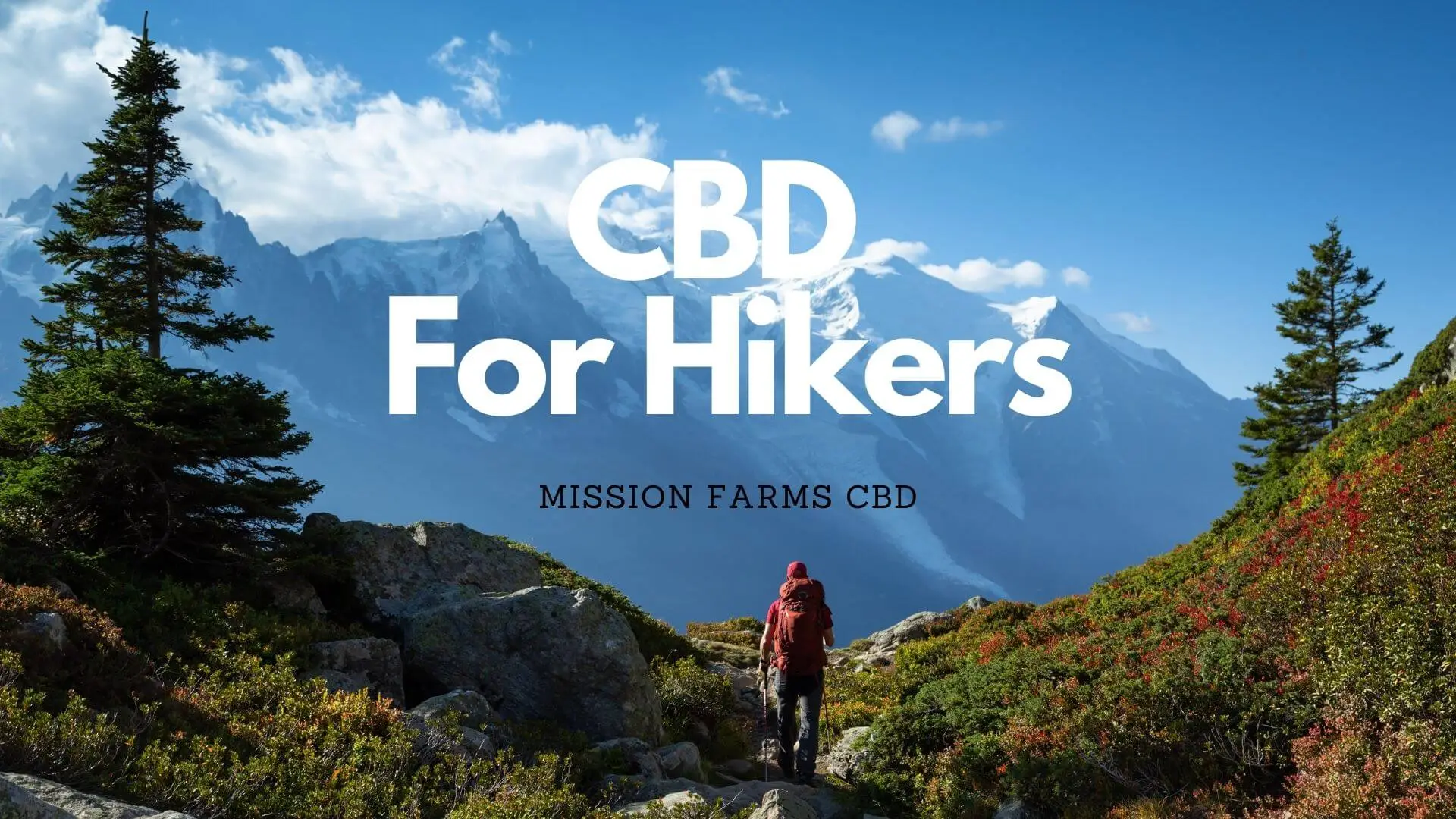 You are currently viewing CBD For Hikers