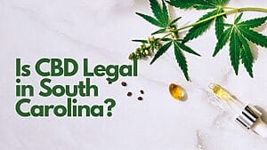 Read more about the article Is CBD Legal in South Carolina?