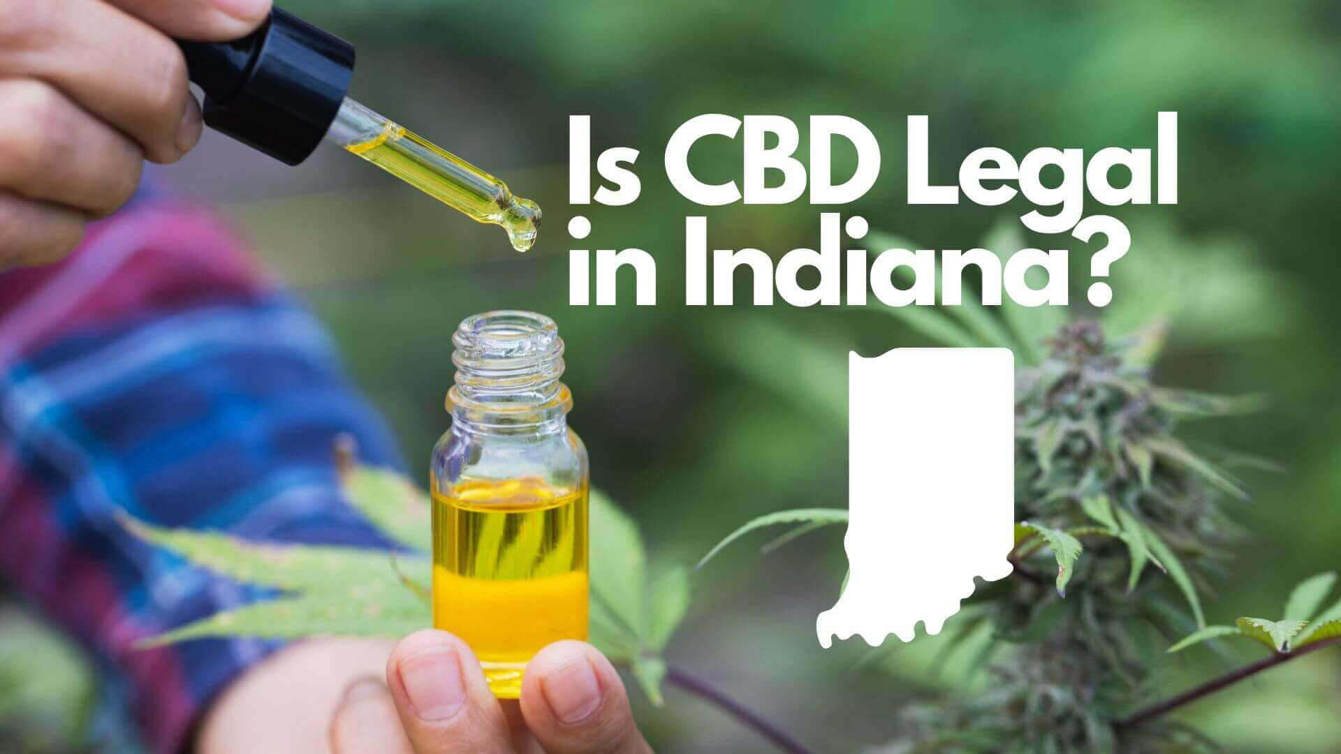 You are currently viewing Is CBD legal in Indiana?