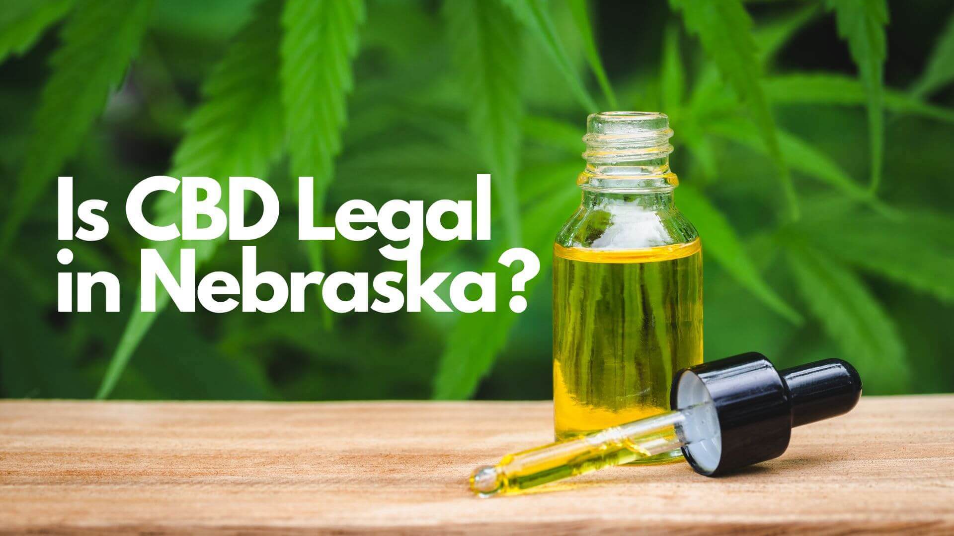 You are currently viewing Is CBD legal in Nebraska?