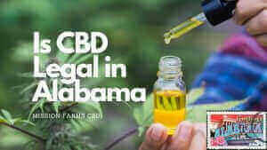 Read more about the article Is CBD legal in Alabama?