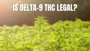 Read more about the article Is Delta-9 THC Legal?