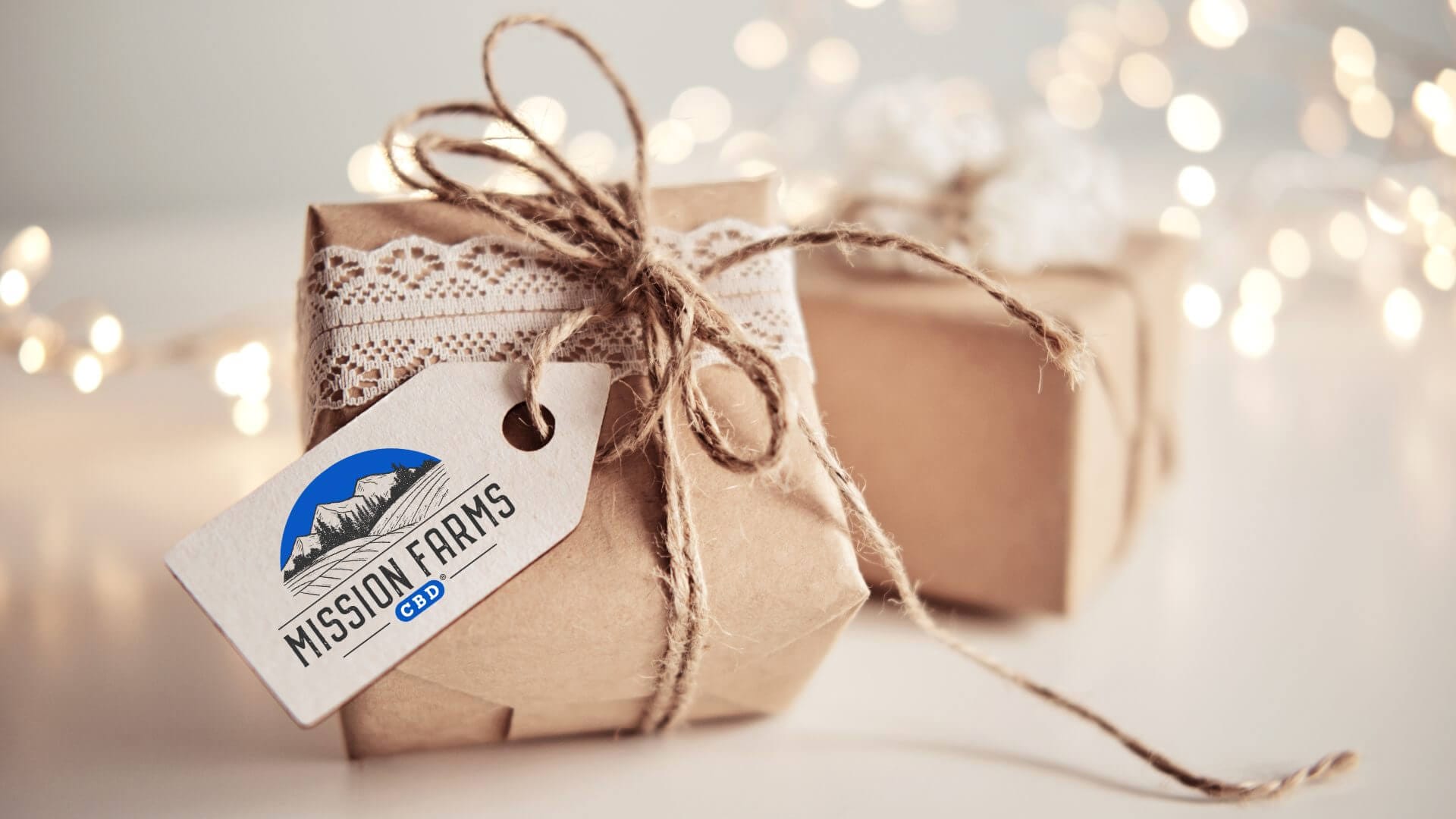 Read more about the article The Ultimate Holiday Gift Guide 2024